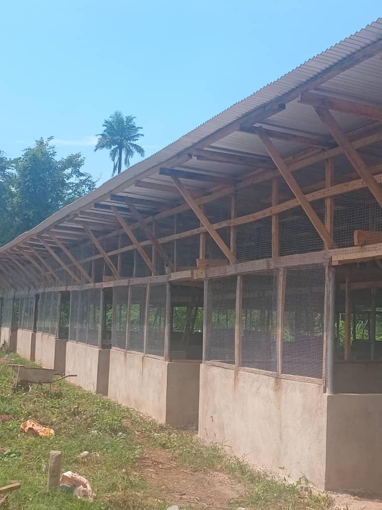 Agriculture Services