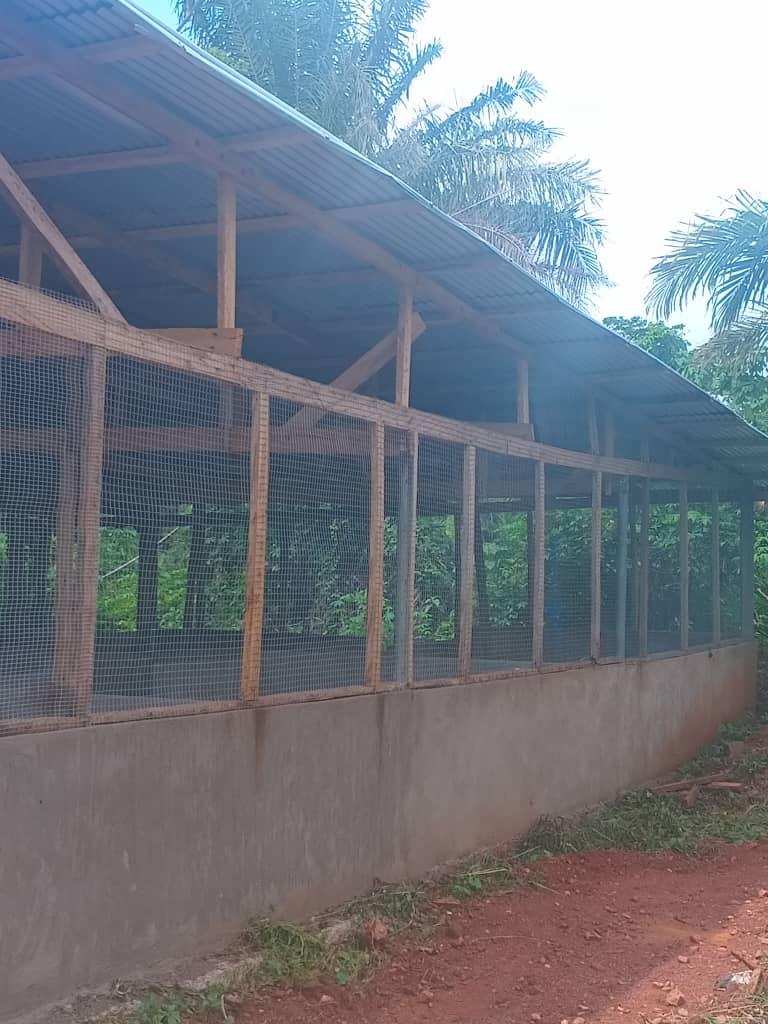 Agriculture Services