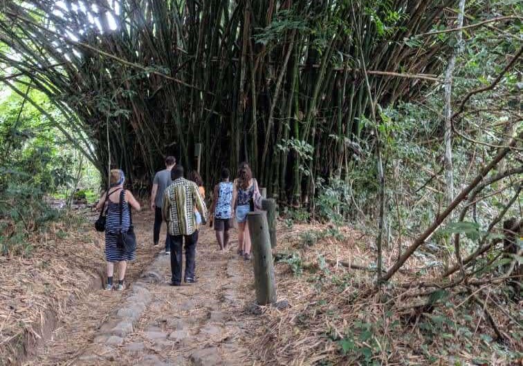 Travel & Tour Services